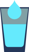 litre
